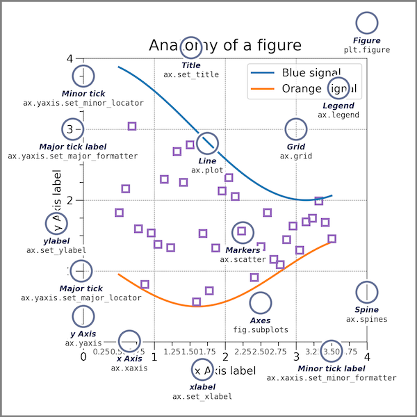 anatomy of a figure